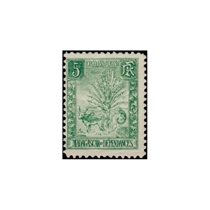 Madagascar - 066