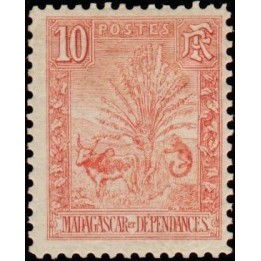 Madagascar - 067