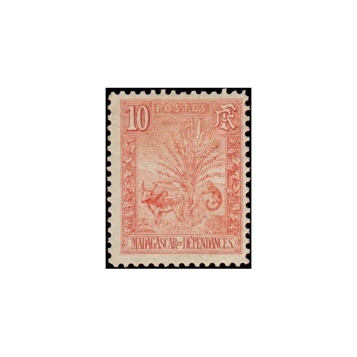 Madagascar - 067