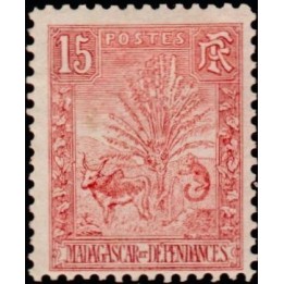 Madagascar - 068