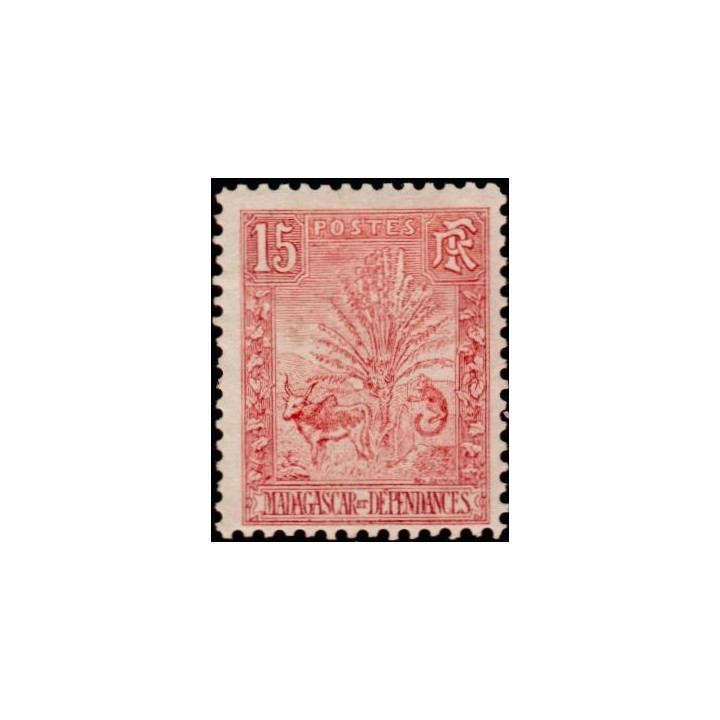 Madagascar - 068