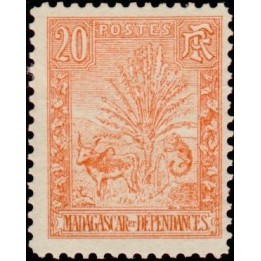 Madagascar - 069