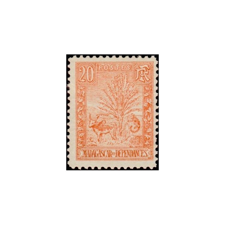 Madagascar - 069