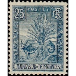 Madagascar - 070