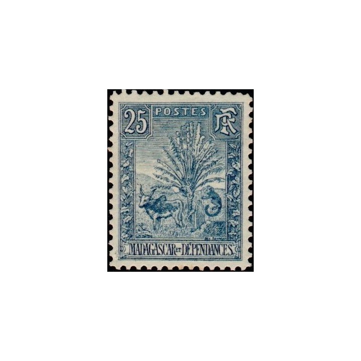 Madagascar - 070