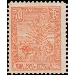 Madagascar - 071