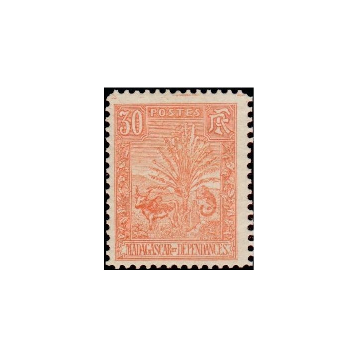 Madagascar - 071