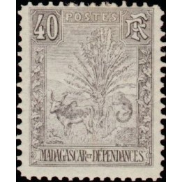 Madagascar - 072