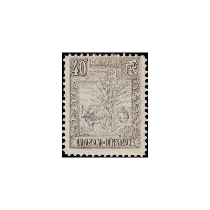 Madagascar - 072