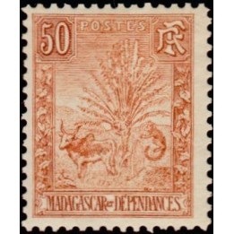 Madagascar - 073