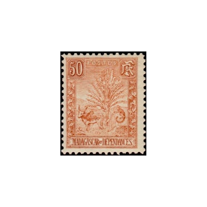 Madagascar - 073