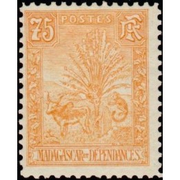 Madagascar - 074