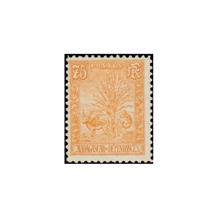 Madagascar - 074