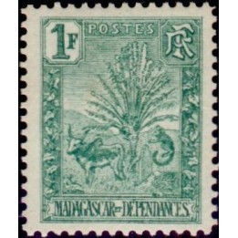 Madagascar - 075