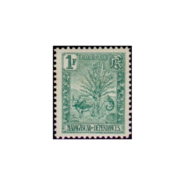 Madagascar - 075