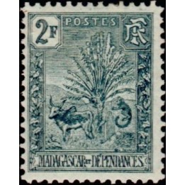 Madagascar - 076