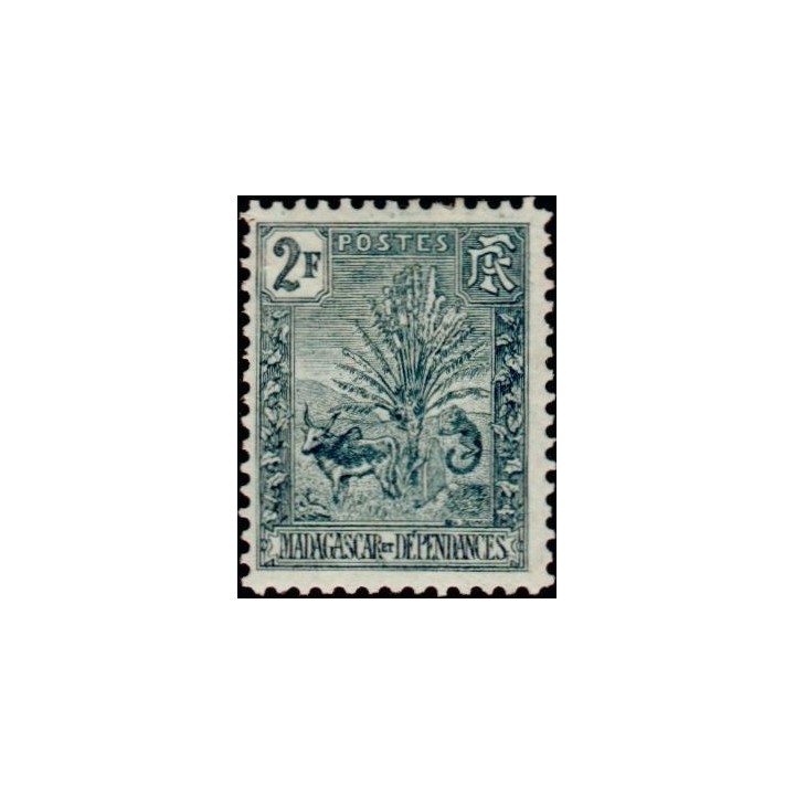 Madagascar - 076