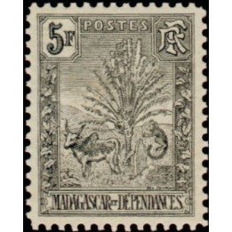Madagascar - 077