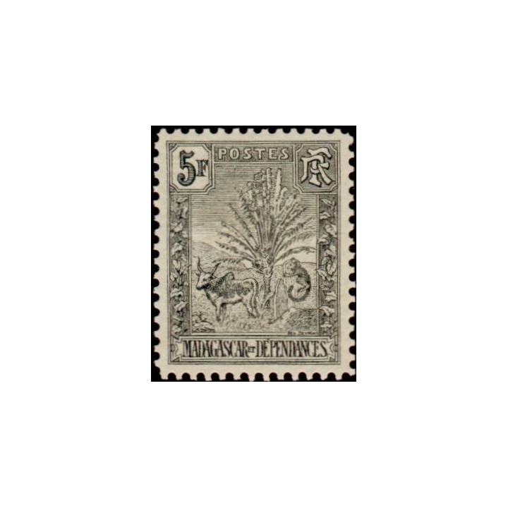 Madagascar - 077