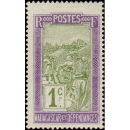 Madagascar - 094