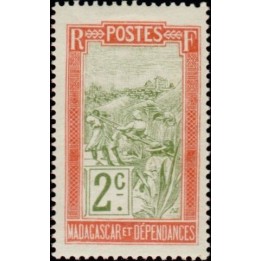 Madagascar - 095