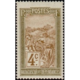 Madagascar - 096