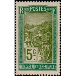 Madagascar - 097