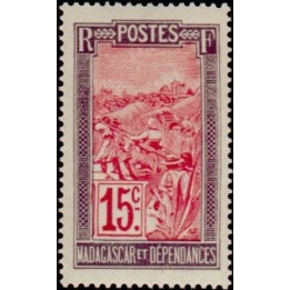 Madagascar - 099