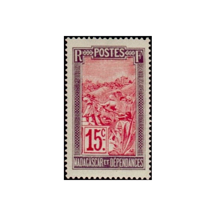 Madagascar - 099