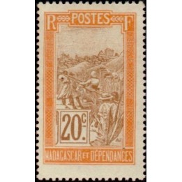 Madagascar - 100