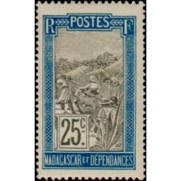 Madagascar - 101