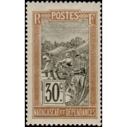 Madagascar - 102