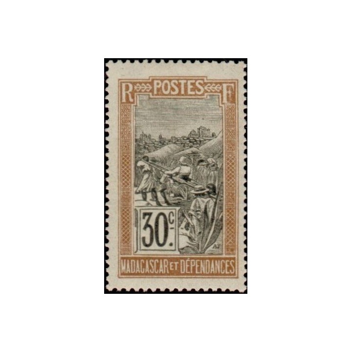 Madagascar - 102