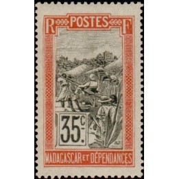 Madagascar - 103
