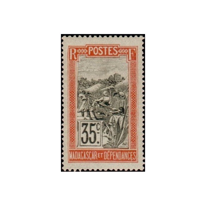 Madagascar - 103