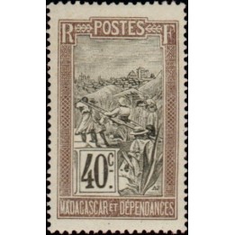 Madagascar - 104