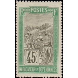 Madagascar - 105