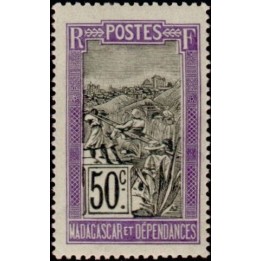 Madagascar - 106