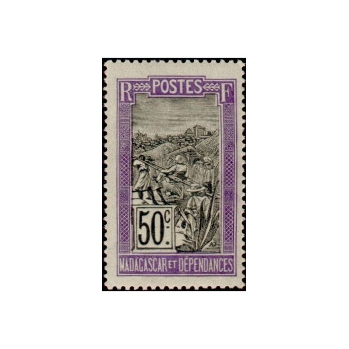 Madagascar - 106