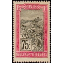 Madagascar - 107