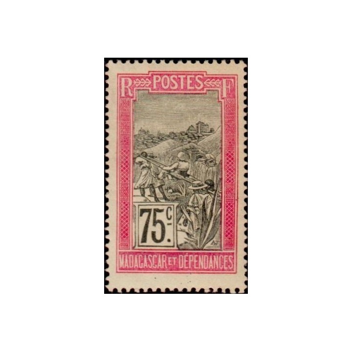 Madagascar - 107
