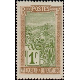 Madagascar - 108