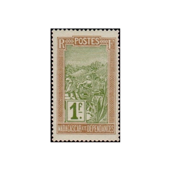 Madagascar - 108
