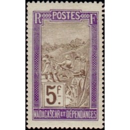 Madagascar - 110