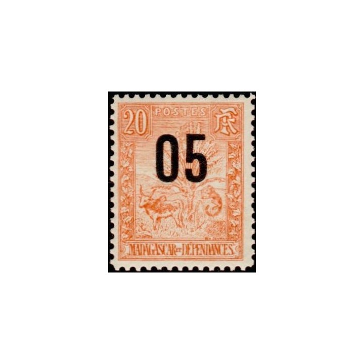 Madagascar - 116