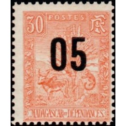 Madagascar - 117