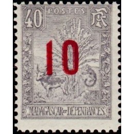 Madagascar - 118