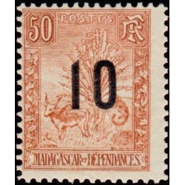 Madagascar - 119