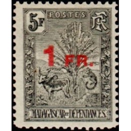 Madagascar - 124