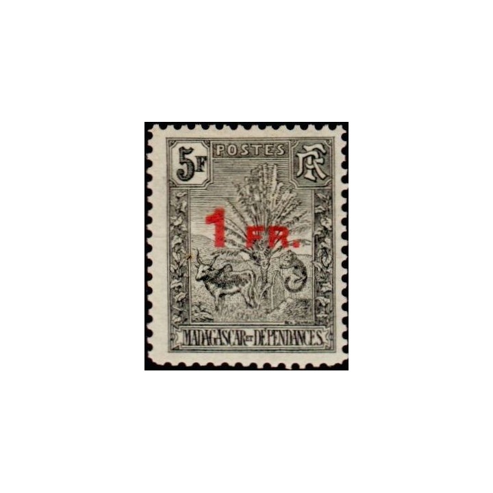 Madagascar - 124